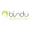 logo bindu
